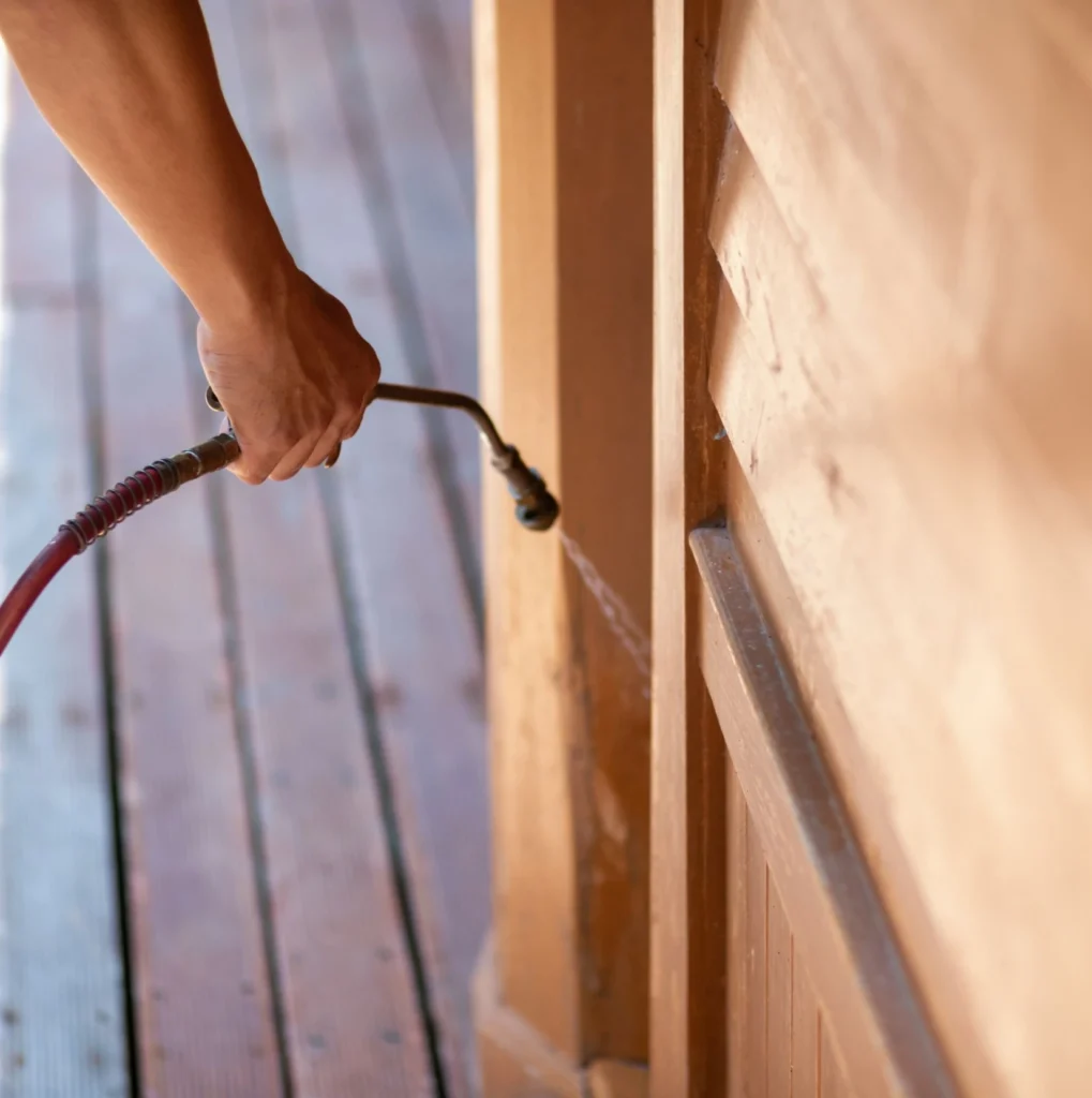 Trusted Pest Control - Nutley Pest Control Pros | Nutley, NJ | 862-355-3859